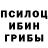 Галлюциногенные грибы мицелий Bianna Marchenko