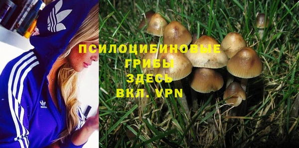 ГАЛЛЮЦИНОГЕННЫЕ ГРИБЫ Алзамай